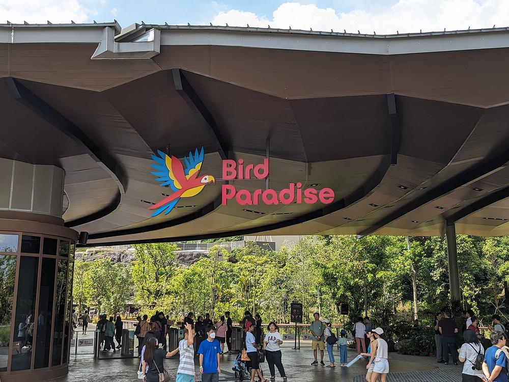 Bird Paradise