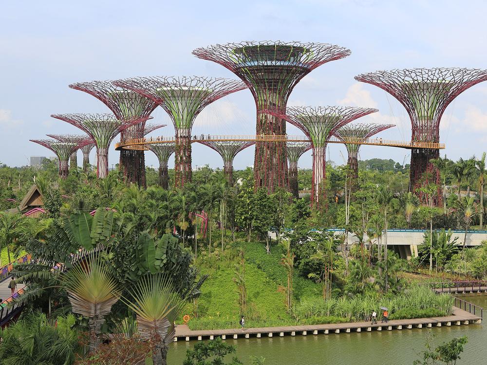 Far East Organization Children's Garden, Gardens by the Bay