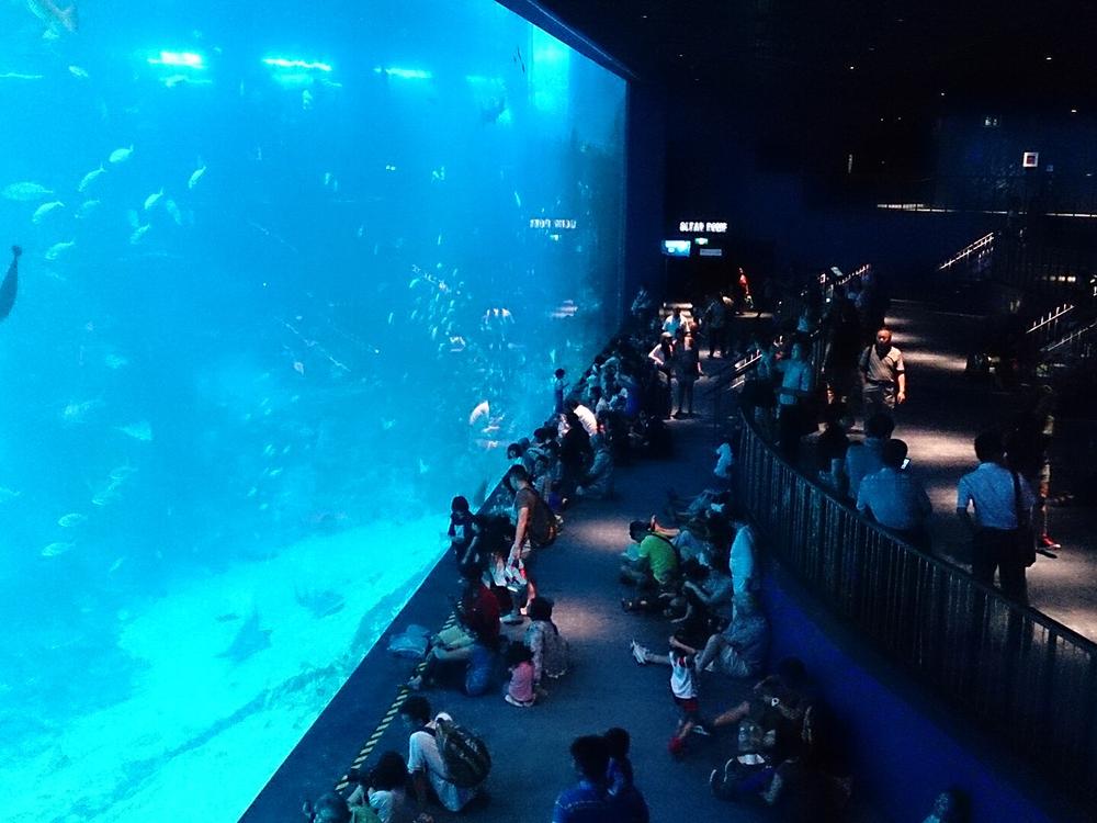 新加坡海洋馆