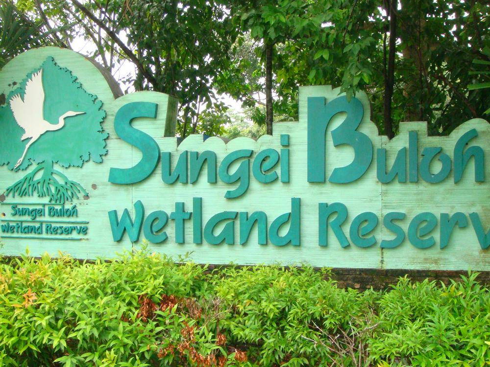 Sungei Buloh Wetland Reserve